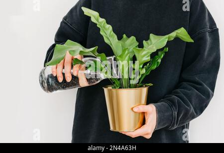 Donna non identificata che innaffia la pianta da una caraffa di vetro in mano. Vista frontale Foto Stock