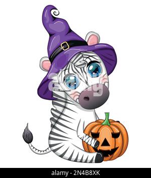 Zebra carina in cappello di strega, con scopa, jack di zucca, pozione magica. Poster, scheda, etichetta e decorazione per Halloween party. Trucco o trattare Illustrazione Vettoriale