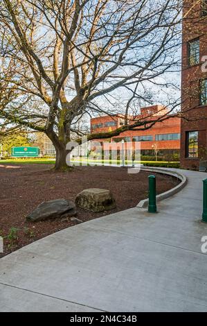 L'Office of Admissions dell'Università dell'Oregon a Riverfront Parkway e Agate Street a Eugene, Oregon. Foto Stock