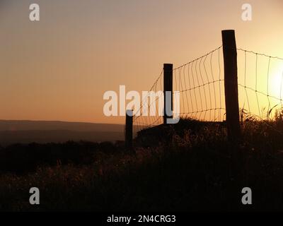 Recinzione fatta con filo spinato in un campo di Alentejo durante il tramonto. Foto Stock