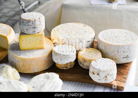 Diversi tipi di formaggi venduti sul mercato. Foto Stock