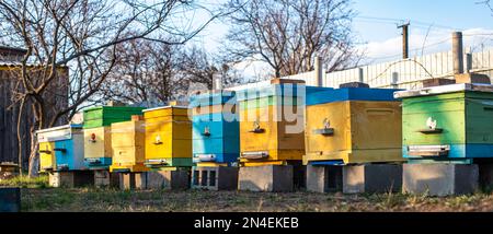 Orticaria colorata in legno e plastica contro il cielo blu in estate. Apiario in piedi in cortile su erba. Tempo freddo e ape seduta in alveare. Foto Stock