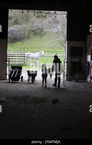 Madre e figlia che fanno le faccende del ranch, alimentando i cavalli fieno Foto Stock