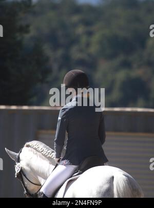 Cavallo lusitano grigio in dressage show con equestre Foto Stock