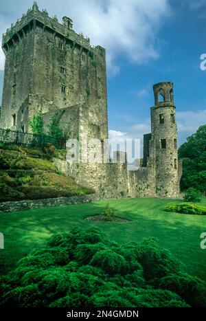 Mantenere e torre di Blarney le rovine del Castello di Blarney nella contea di Cork in Irlanda Foto Stock