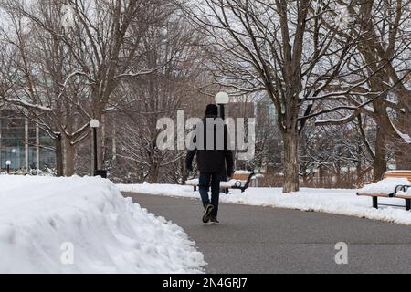 Ottawa, Canada - 23 gennaio 2023: Uomo che cammina su strada nel Major's Hill Park nella stagione invernale. Parco cittadino con neve in centro Foto Stock