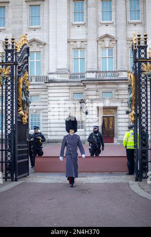 Londra, Regno Unito - 8 febbraio 2023: I guardiani reali fuori Buckingham Palace come presidente Zelensky dell'Ucraina sono arrivati per la sua prima visita nel Regno Unito dopo l'invasione russa. Credit: Sinai Noor/Alamy Live News - SOLO PER USO EDITORIALE. Credit: Sinai Noor/Alamy Live News Foto Stock