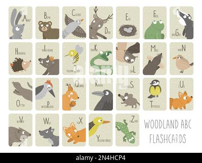 Carte alfabetiche Woodland per bambini. Carino cartone animato ABC set con animali della foresta. Divertenti flashcards per insegnare la lettura o phonics per i bambini. LAN inglese Illustrazione Vettoriale