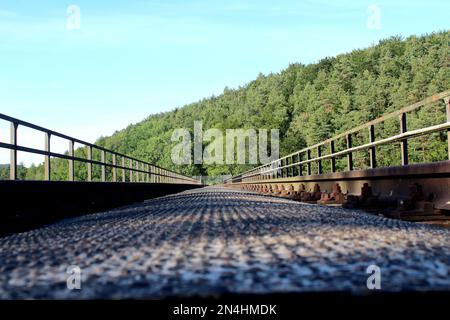 Un'inquadratura ad angolo basso delle vecchie rotaie ferroviarie con alberi lussureggianti in lontananza Foto Stock