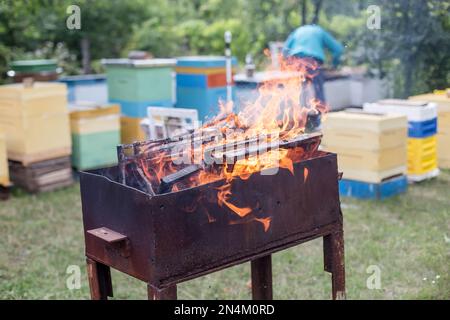 Combattere le malattie delle api da miele. Cornici danneggiate da larve di falena di cera nel fuoco. Medicina nell'apicoltura. Foto Stock