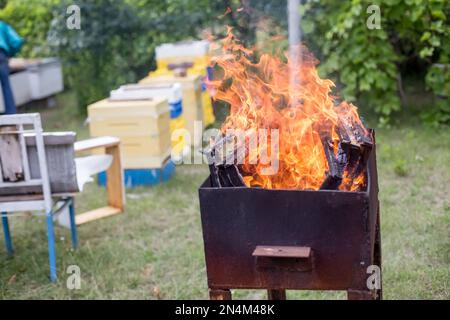 La montatura di cera danneggiata brucia l'apicoltore vicino all'apiario. Malattie delle api da miele. Apicoltura. Foto Stock