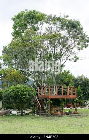 Balcone romantico, fatto legno marrone intorno Ad Un albero. Foto Stock