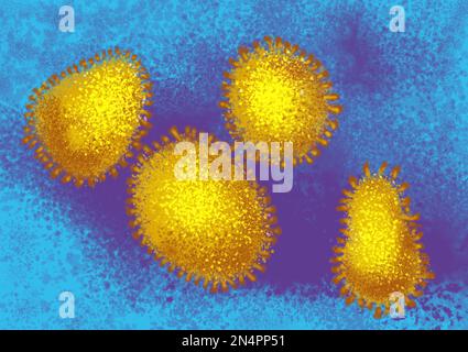 Vista in primo piano dei batteri al microscopio. Illustrazione Foto Stock