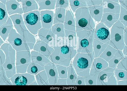 Vista in primo piano dei batteri al microscopio. Illustrazione Foto Stock