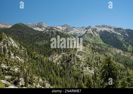 Green Meadows e Pine Trees sotto il Kennedy Pass nel Kings Canyon National Park Foto Stock