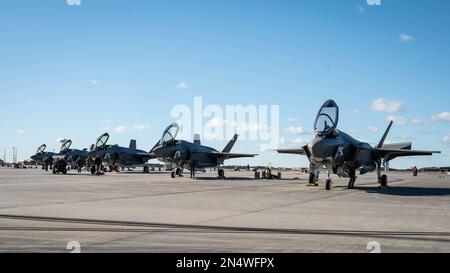 STATI UNITI Air Force F-35 Lightning II Aircraft e personale assegnato alla base dell'aeronautica militare di Luke, Arizona, e nazioni alleate della NATO --Danimarca, Norvegia, Paesi Bassi e Italia -- parcheggia sulla linea di volo presso l'Air Dominance Center situato alla base nazionale dell'aeronautica di Savannah, Georgia, 3 febbraio 2023. Gli AEREI e il personale degli STATI UNITI e delle nazioni alleate si sono schierati a Savannah come parte del F-35 B-Course capstone per qualificare i piloti degli studenti a diventare aviatori di aeromobili di 5th generazione. (STATI UNITI Air National Guard foto di Tech. Morgan R. Whitehouse) Foto Stock