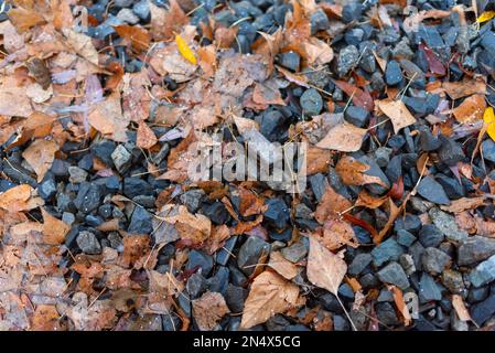La neve cadde sulle pietre delle macerie con foglie d'autunno gialle. Sfondo naturale. Foto Stock