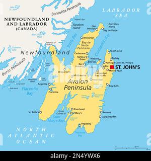 Avalon Peninsula, mappa politica. Parte sud-orientale dell'isola di Terranova, al largo della costa continentale del Nord America, parte del Canada. Foto Stock