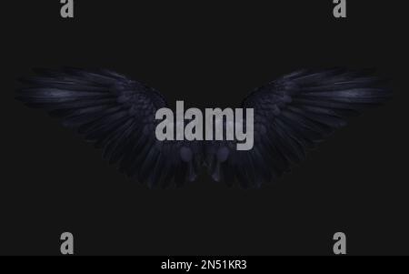 3D Illustrazione di Crow Wing, Demon Wings, Black Wing piumaggio isolato su sfondo nero. Foto Stock