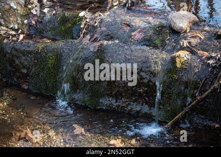 Un piccolo ruscello che scorre sulle rocce in una piccola piscina d'acqua con foglie e bastoni nell'Interstate state Park, St Croix Falls, WISCONSIN. Foto Stock