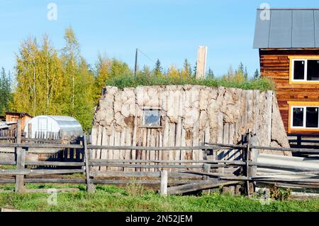 La stanza per il khoton del bestiame, fatta di sterco della mucca e di legno, overgrown con erba si trova su un terreno con una casa fatta di pino e una serra nel nord o Foto Stock