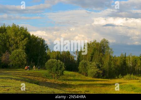 Un gruppo di collezionisti di Yakuts asiatici uomini e donne con borse e secchi sono sulla strada settentrionale al tramonto in serata all'ombra della lente Yaku Foto Stock