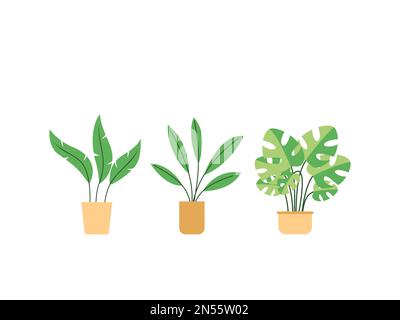 Set of House Plants su sfondo bianco disegno piano - illustrazione vettoriale Illustrazione Vettoriale