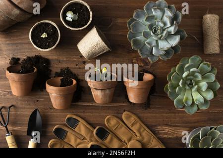 vista dall'alto vasi di fiori. Risoluzione e foto di alta qualità Foto Stock