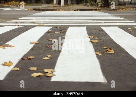 Attraversamento pedonale su strada vuota città in autunno, primo piano Foto Stock