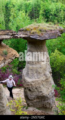 La ragazza è ordinatamente allevando le attrazioni di fondo Yakutia - errozitsionnoy forma terreno fungo sabbioso nella foresta tra la vegetazione. Foto Stock