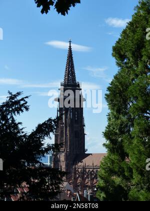 Uno scatto verticale della cattedrale di Friburgo Munster visto attraverso alberi verdi a Friburgo im Breisgau Foto Stock
