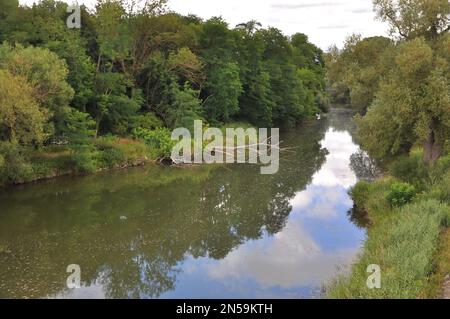 Alba sul Danubio a Regensburg (Germania) in una mattina limpida in estate.alberi riflessi in acqua.Autunno paesaggio con foglie colorate Foto Stock