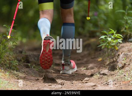 Atleta che corre maratona di montagna lungo un sentiero forestale con pali e Foto Stock