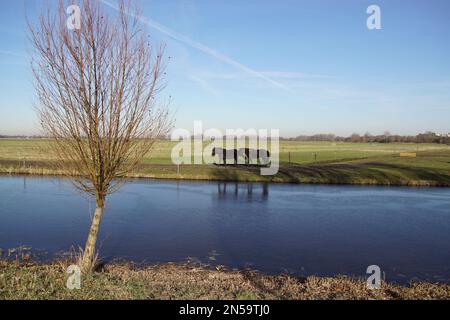 Paesaggio pascolo. Pony olandesi che camminano lungo il prato in inverno nei Paesi Bassi. Fosso con ghiaccio sull'acqua. Vicino alla città di Alkmaar Foto Stock