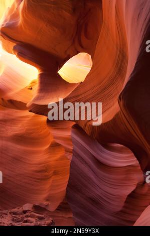 Maestose onde di arenaria del canyon di slot Antelope nella terra di Navajo vicino a Page, Arizona, Stati Uniti sudoccidentali Foto Stock