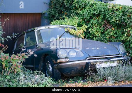 Una vecchia auto d'epoca si trova in un vialetto troppo grande. Le piante cespugli e arbusti crescono la retrò auto. E' annata e nostalgica. Foto Stock