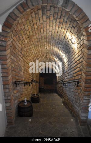 Piccola e vecchia cantina con molte bottiglie piene. Vista frontale dalla hall di ingresso Foto Stock