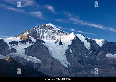 Vista da Schynige Platte a Jungfrau al mattino, Svizzera, Oberland Bernese Foto Stock