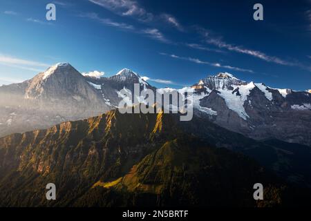 Vista dalla Schynige Platte a Eiger, Moench e Jungfrau al mattino, Svizzera, Oberland Bernese Foto Stock