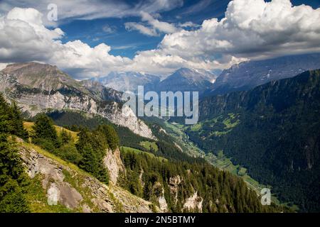 Vista dalla Schynige Platte nella valle di Luetschen, Svizzera, Oberland Bernese, Wilderswil Foto Stock