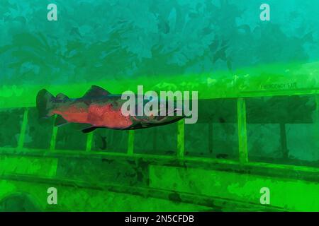 Dipinto ad acquerello creato digitalmente di una grande trota arcobaleno stucchevole che nuota in acqua nuvolosa davanti a un scuolabus Foto Stock