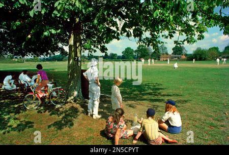 Locale villaggio cricket partita in Wiltshire, 1978 Foto Stock