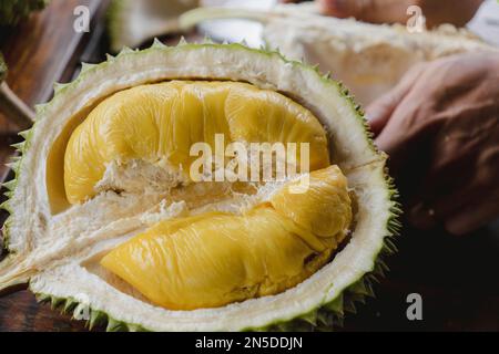 Frutti tropicali ed esotici duriani a metà apertura su un tavolo. Re dei frutti della Malesia, del Borneo, dell'Asia sudorientale. Varietà Musang King. Foto Stock