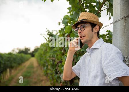 Un enologo italiano effettua una telefonata mentre si trova nella sua vigna. Foto Stock