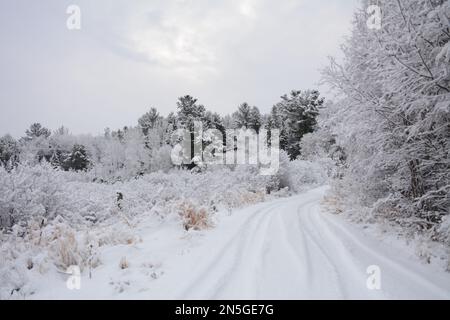 Immagini dell'inverno nell'Ontario settentrionale rurale con neve appena caduta Foto Stock