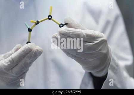 Sezione intermedia di uno scienziato femminile che esamina il modello molecolare in un laboratorio, Friburgo im Breisgau, Baden-Württemberg, Germania Foto Stock