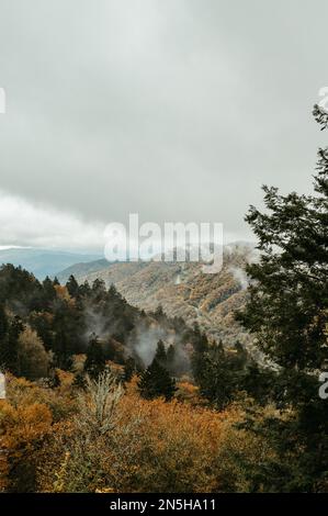 Vista dal nuovo Gap nel Parco Nazionale delle Great Smoky Mountain Foto Stock