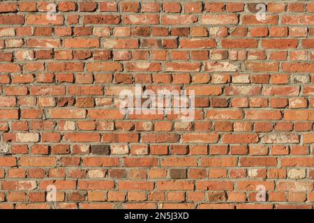 Muro di mattoni con mattoni rossi alla luce del sole Foto Stock