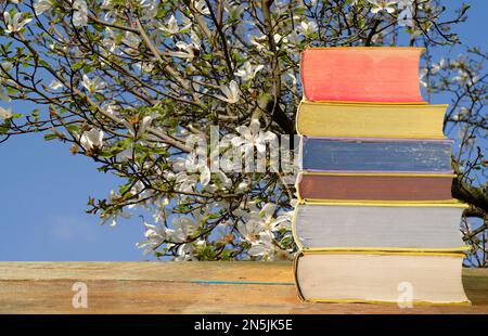 pila di libri con fiori di primavera sfocati in background spazio di copia libera, vacanze e concetto di relax Foto Stock