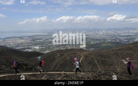 Conseguenze del fuoco selvaggio a Kai Kung Leng (Rooster Ridge) nel Lam Tsuen Country Park, Yuen Long. Almeno 2 sentieri di fiamme sul monte Kai Kung Leng bruciati per 16 ore il 24 gennaio 2023. 01FEB23 SCMP / Elson li Foto Stock